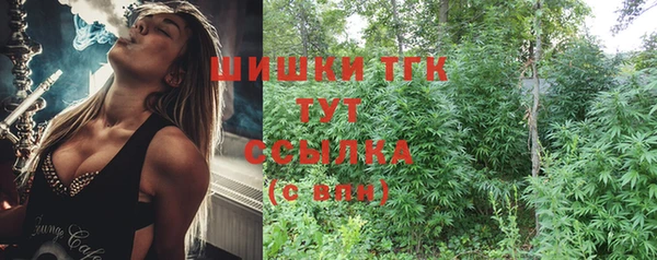 дурь Арсеньев