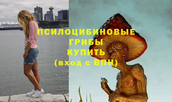 бошки Алзамай